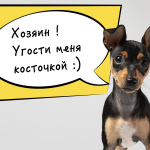 генерация речи животных