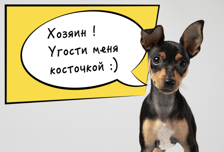 генерация речи животных